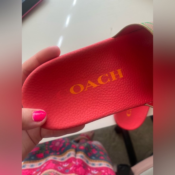 Rainbow Coach slides - Picture 4 of 6